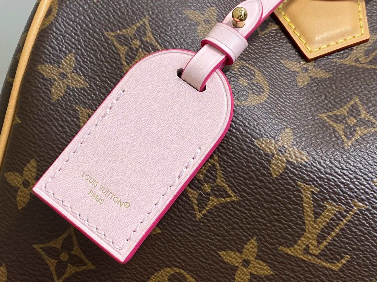 Louis Vuitton Travel Bag