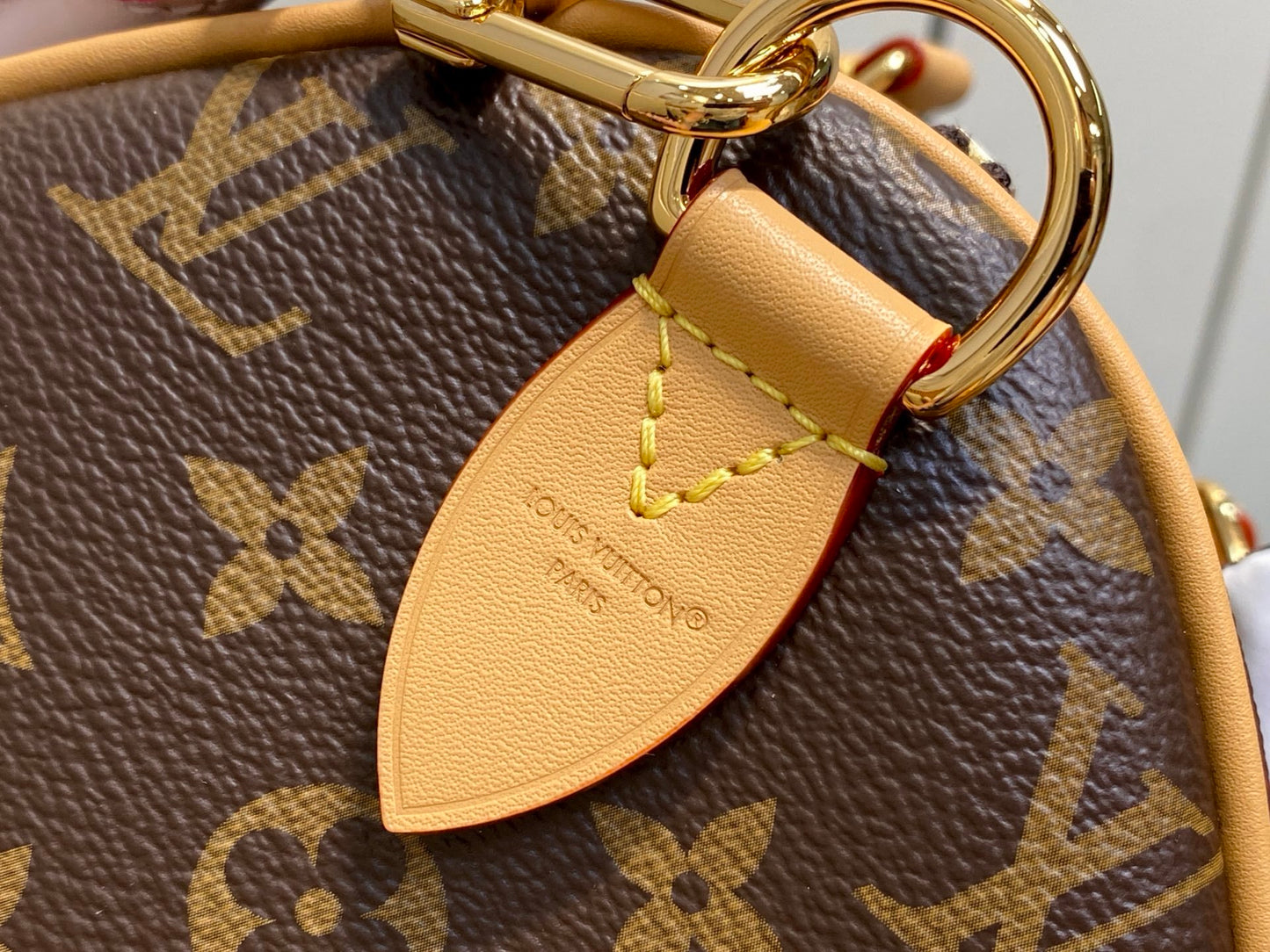 Louis Vuitton Travel Bag