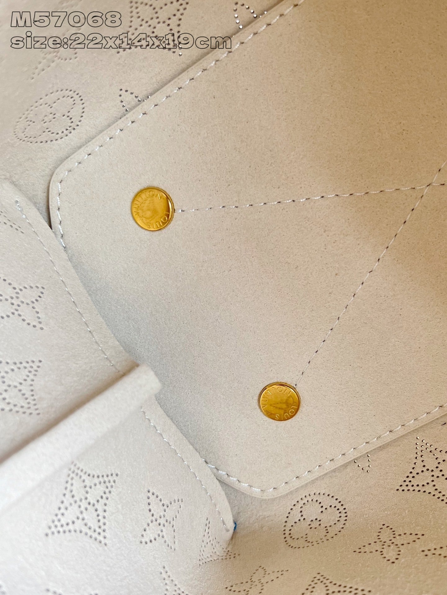 Louis Vuitton Shoulder Bag
